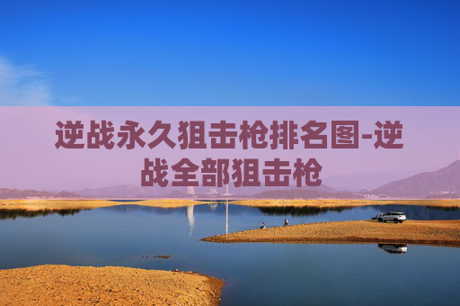 逆战永久狙击枪排名图-逆战全部狙击枪