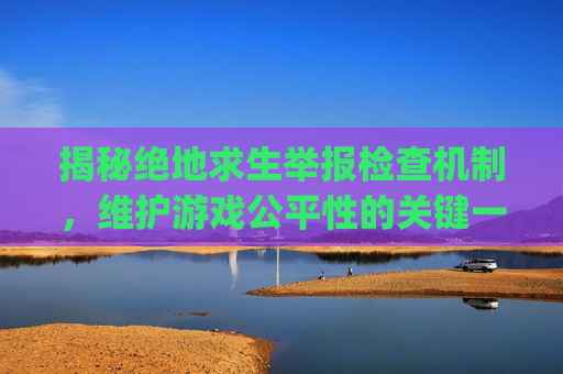 揭秘绝地求生举报检查机制,维护游戏公平性的关键一环-pubg举报反馈在哪里 揭秘绝地求生举报检查机制,维护游戏公平性的关键一环-pubg举报反馈在哪里