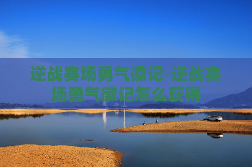 逆战赛场勇气徽记-逆战赛场勇气徽记怎么获得