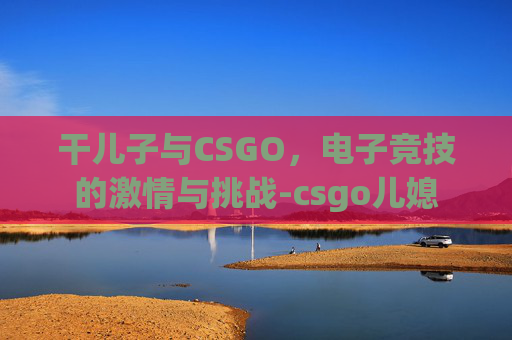 干儿子与CSGO，电子竞技的激情与挑战-csgo儿媳