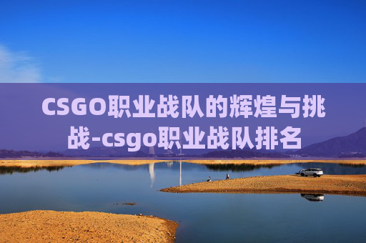 CSGO职业战队的辉煌与挑战-csgo职业战队排名