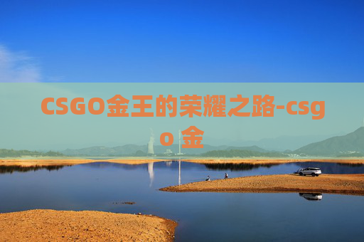 CSGO金王的荣耀之路-csgo 金 CSGO金王的荣耀之路-csgo 金