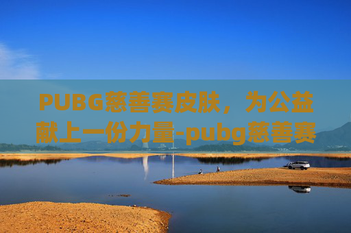 PUBG慈善赛皮肤，为公益献上一份力量-pubg慈善赛冠军