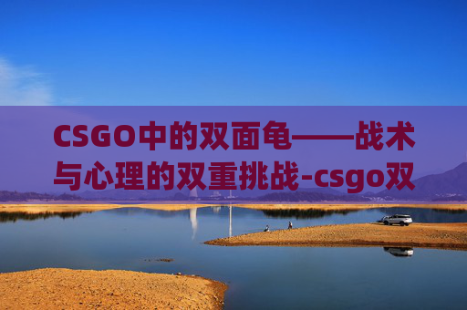CSGO中的双面龟——战术与心理的双重挑战-csgo双面蓝 CSGO中的双面龟——战术与心理的双重挑战-csgo双面蓝