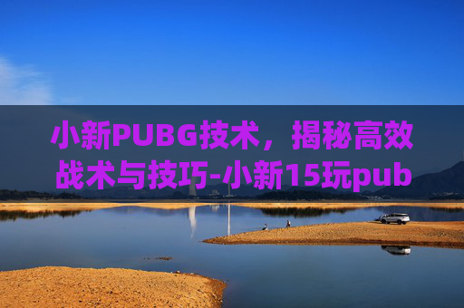 小新PUBG技术，揭秘高效战术与技巧-小新15玩pubg