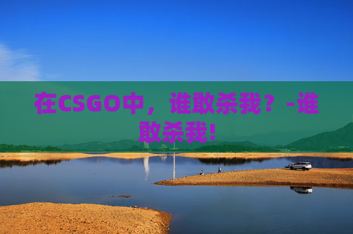 在CSGO中，谁敢杀我？-谁敢杀我!