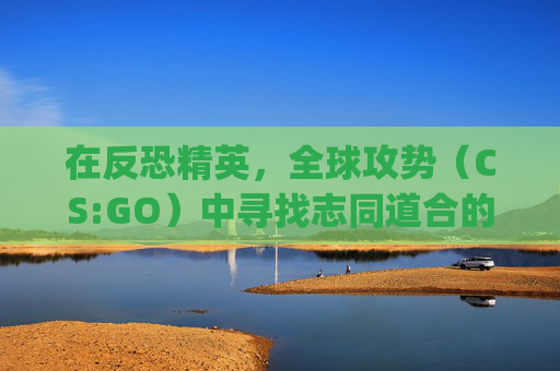 在反恐精英，全球攻势（CS:GO）中寻找志同道合的战友-csgo搜索好友没反应