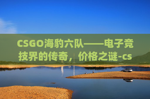 CSGO海豹六队——电子竞技界的传奇,价格之谜-csgo 海豹六队 CSGO海豹六队——电子竞技界的传奇,价格之谜-csgo 海豹六队