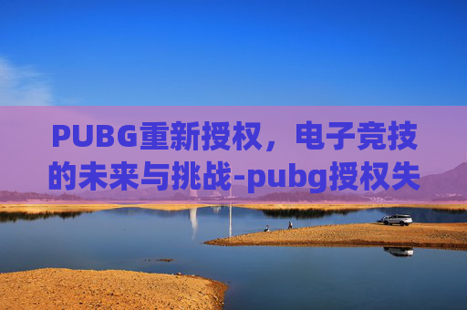 PUBG重新授权，电子竞技的未来与挑战-pubg授权失败请重新登录怎么办