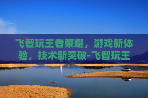 飞智玩王者荣耀，游戏新体验，技术新突破-飞智玩王者荣耀延长视野有问题