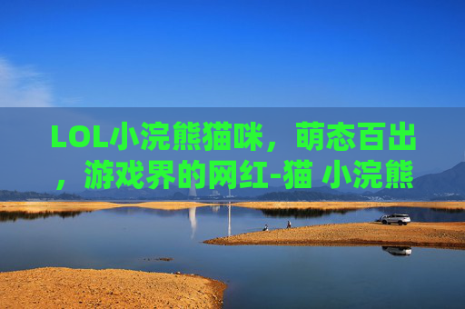 LOL小浣熊猫咪，萌态百出，游戏界的网红-猫 小浣熊