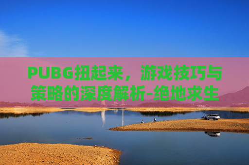 PUBG扭起来，游戏技巧与策略的深度解析-绝地求生扭屁股