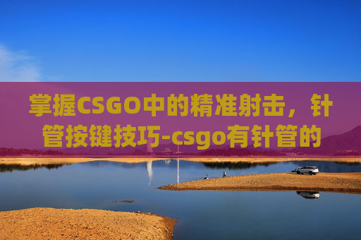 掌握CSGO中的精准射击,针管按键技巧-csgo有针管的刀 掌握CSGO中的精准射击,针管按键技巧-csgo有针管的刀