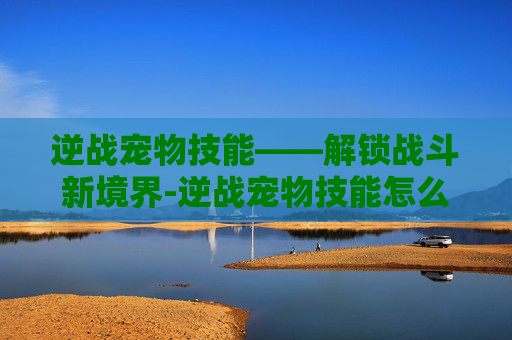 逆战宠物技能——解锁战斗新境界-逆战宠物技能怎么释放 逆战宠物技能——解锁战斗新境界-逆战宠物技能怎么释放