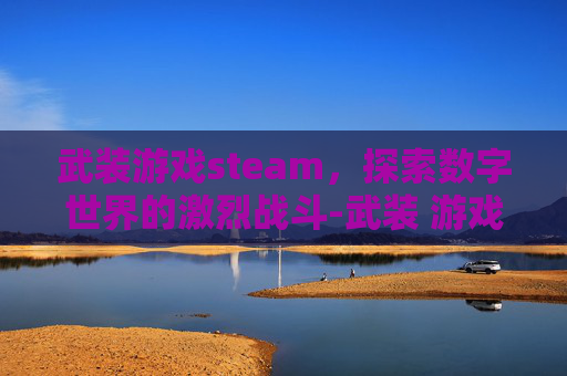 武装游戏steam，探索数字世界的激烈战斗-武装 游戏