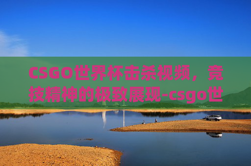 CSGO世界杯击杀视频，竞技精神的极致展现-csgo世界杯击杀视频在哪看