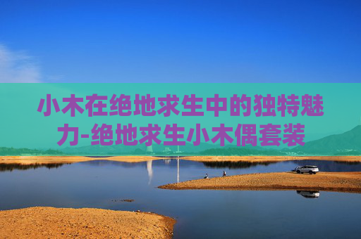 小木在绝地求生中的独特魅力-绝地求生小木偶套装