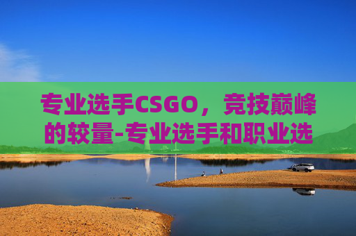 专业选手CSGO，竞技巅峰的较量-专业选手和职业选手的区别