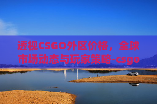 透视CSGO外区价格，全球市场动态与玩家策略-csgo外服多少钱