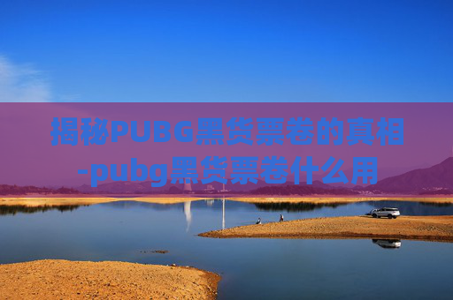 揭秘PUBG黑货票卷的真相-pubg黑货票卷什么用