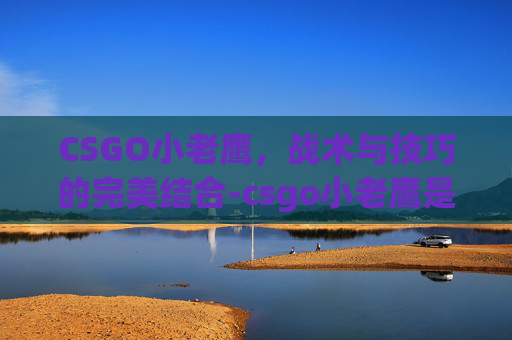 CSGO小老鹰，战术与技巧的完美结合-csgo小老鹰是什么水平