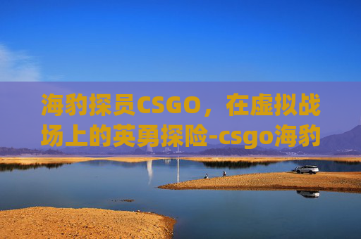 海豹探员CSGO,在虚拟战场上的英勇探险-csgo海豹突击队探员 海豹探员CSGO,在虚拟战场上的英勇探险-csgo海豹突击队探员