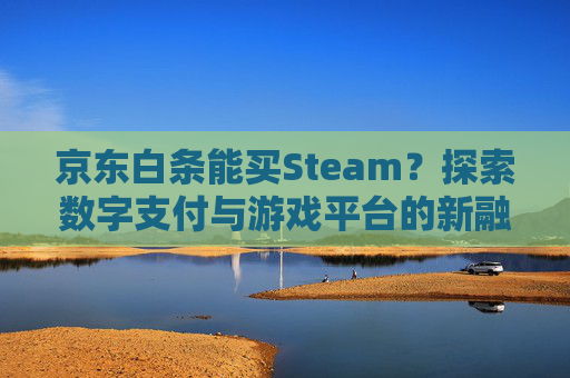 京东白条能买Steam？探索数字支付与游戏平台的新融合-京东白条能买车票吗?