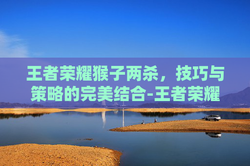 王者荣耀猴子两杀，技巧与策略的完美结合-王者荣耀猴子两杀视频