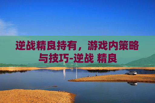 逆战精良持有,游戏内策略与技巧-逆战 精良 逆战精良持有,游戏内策略与技巧-逆战 精良