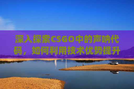 深入探索CSGO中的声呐代码，如何利用技术优势提升游戏体验-csgo 声呐