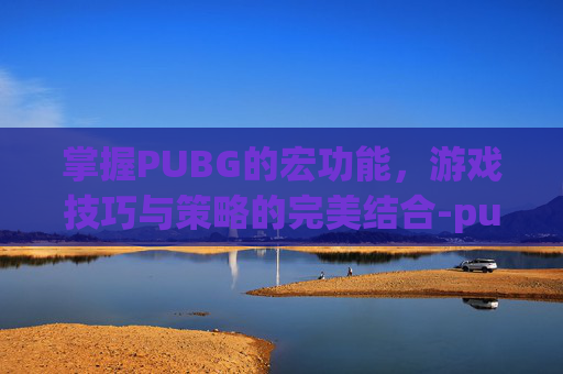 掌握PUBG的宏功能，游戏技巧与策略的完美结合-pubg 宏