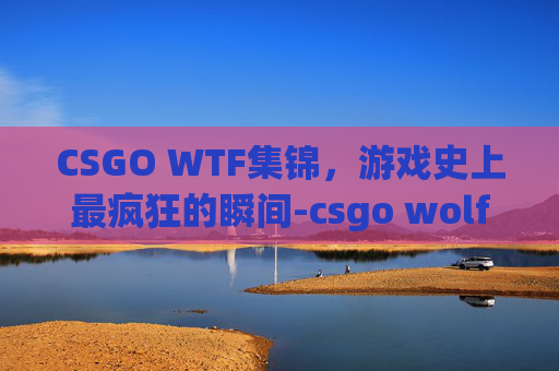 CSGO WTF集锦，游戏史上最疯狂的瞬间-csgo wolf