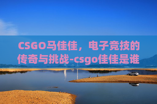 CSGO马佳佳，电子竞技的传奇与挑战-csgo佳佳是谁