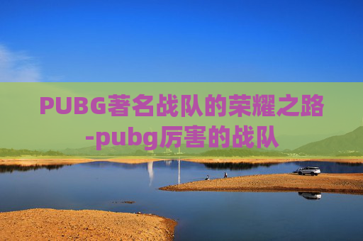 PUBG著名战队的荣耀之路-pubg厉害的战队 PUBG著名战队的荣耀之路-pubg厉害的战队