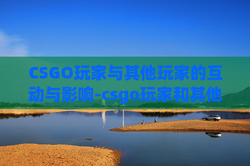 CSGO玩家与其他玩家的互动与影响-csgo玩家和其他玩家的区别