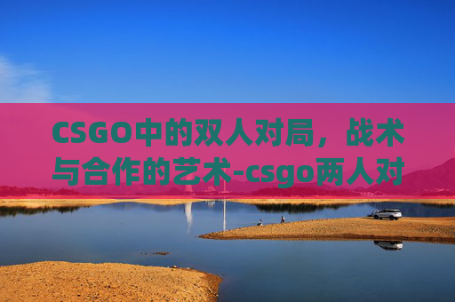CSGO中的双人对局，战术与合作的艺术-csgo两人对战