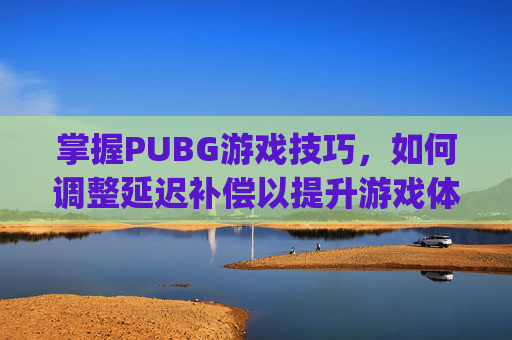 掌握PUBG游戏技巧，如何调整延迟补偿以提升游戏体验-pubg 延迟