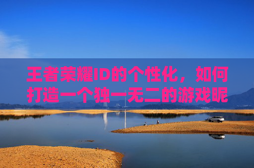 王者荣耀ID的个性化，如何打造一个独一无二的游戏昵称-王者荣耀id改成什么了
