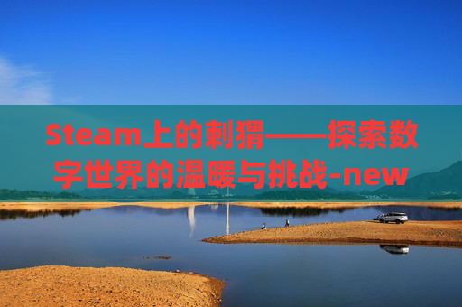 Steam上的刺猬——探索数字世界的温暖与挑战-new game刺猬