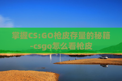 掌握CS:GO枪皮存量的秘籍-csgo怎么看枪皮 掌握CS:GO枪皮存量的秘籍-csgo怎么看枪皮