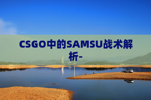 CSGO中的SAMSU战术解析-