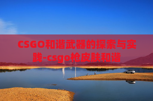 CSGO和谐武器的探索与实践-csgo枪皮肤和谐