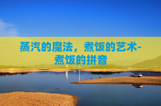 蒸汽的魔法，煮饭的艺术-煮饭的拼音