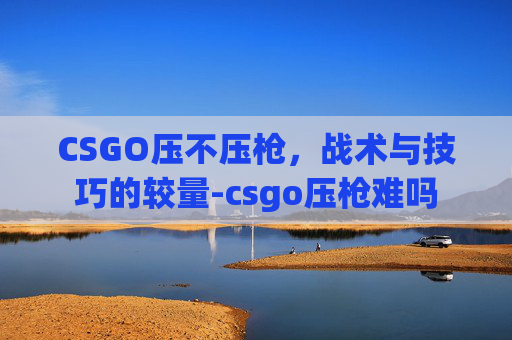 CSGO压不压枪，战术与技巧的较量-csgo压枪难吗