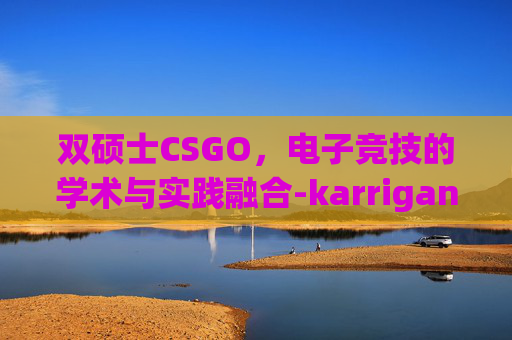 双硕士CSGO，电子竞技的学术与实践融合-karrigan双硕士