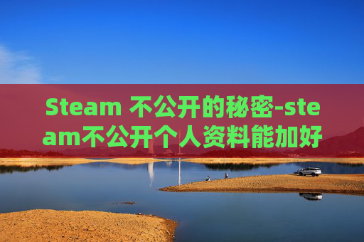 Steam 不公开的秘密-steam不公开个人资料能加好友吗 Steam 不公开的秘密-steam不公开个人资料能加好友吗