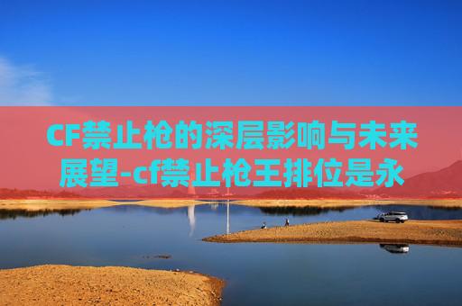 CF禁止枪的深层影响与未来展望-cf禁止枪王排位是永久的吗