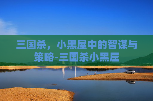 三国杀,小黑屋中的智谋与策略-三国杀小黑屋 三国杀,小黑屋中的智谋与策略-三国杀小黑屋