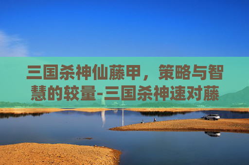三国杀神仙藤甲，策略与智慧的较量-三国杀神速对藤甲