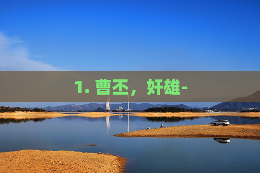 1. 曹丕，奸雄-